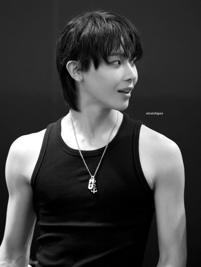 Wang Yixiang {Nicholas}
