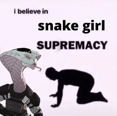 A NEW MEMBER HAS JOINED THE TEAM
