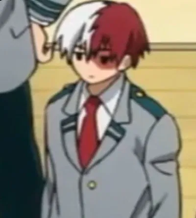 Shoto todoroki 