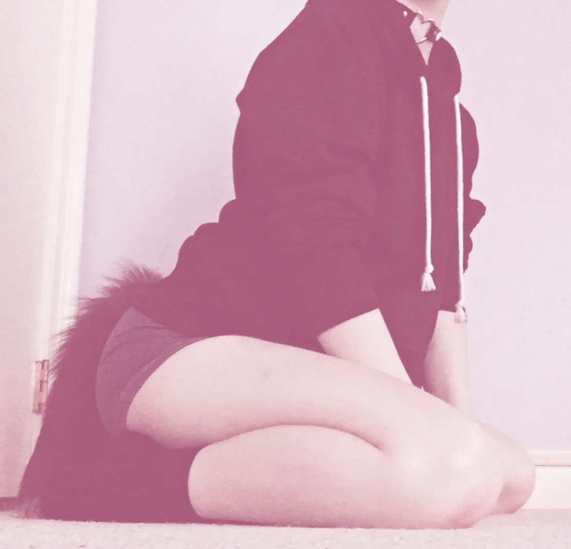 ♡ ~ Angel | Sweet Pup