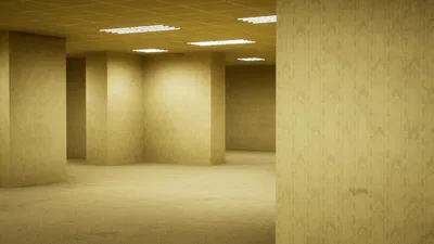 Dumbassess in the backrooms.
