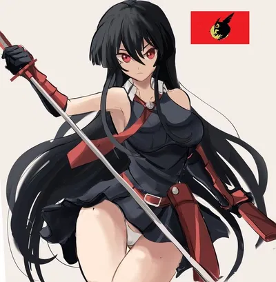 Akame✿Attractive Assassin
