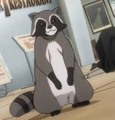 Karl the raccoon