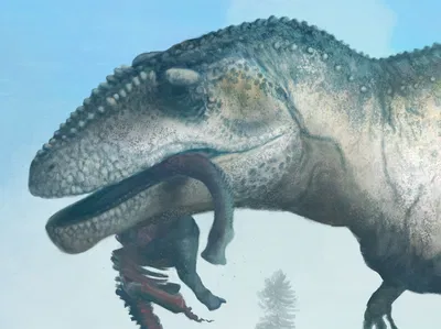Giganotosaurus