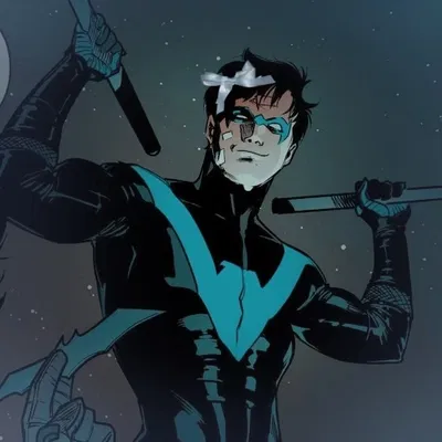   Grayson | Nightwing
