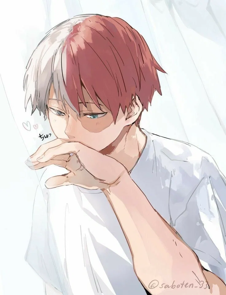 Shoto Todoroki