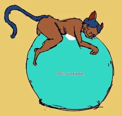 "Cat-and-mouse" with a home Neko.