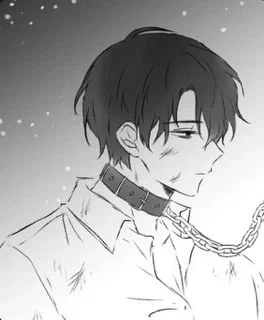 Xander - specimen