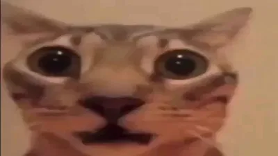 I GOT HACKED ON DISCORD??????