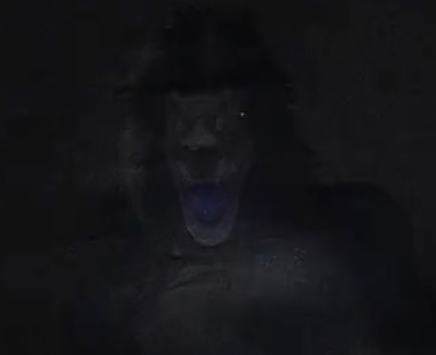 The Yeti