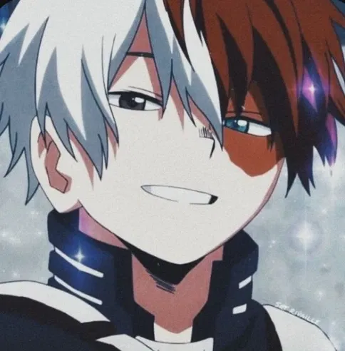 Shoto todoroki