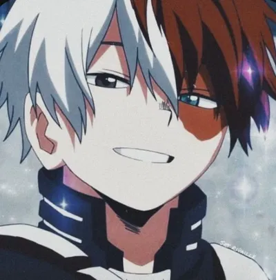 Shoto todoroki