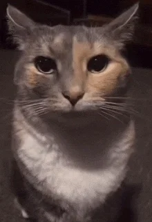 someone's getting touched