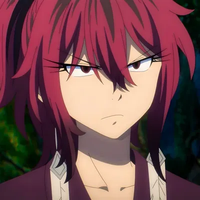 朱雀 SUZAKU.