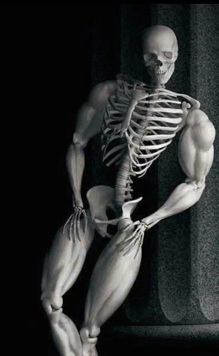 Francis The Skeleton