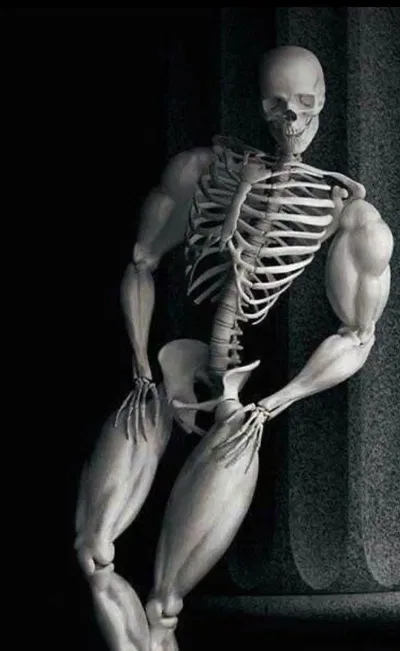 Francis The Skeleton