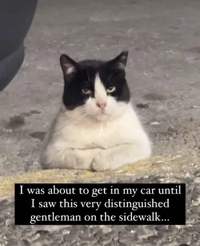 No bot today