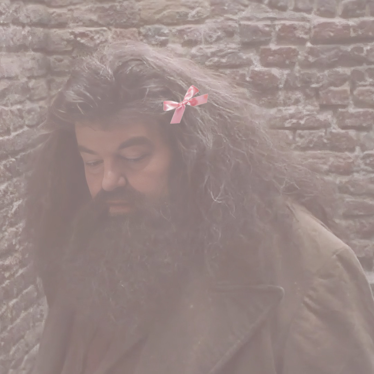 Rubeus Hagrid