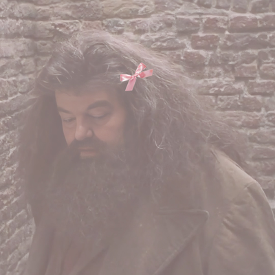 Rubeus Hagrid