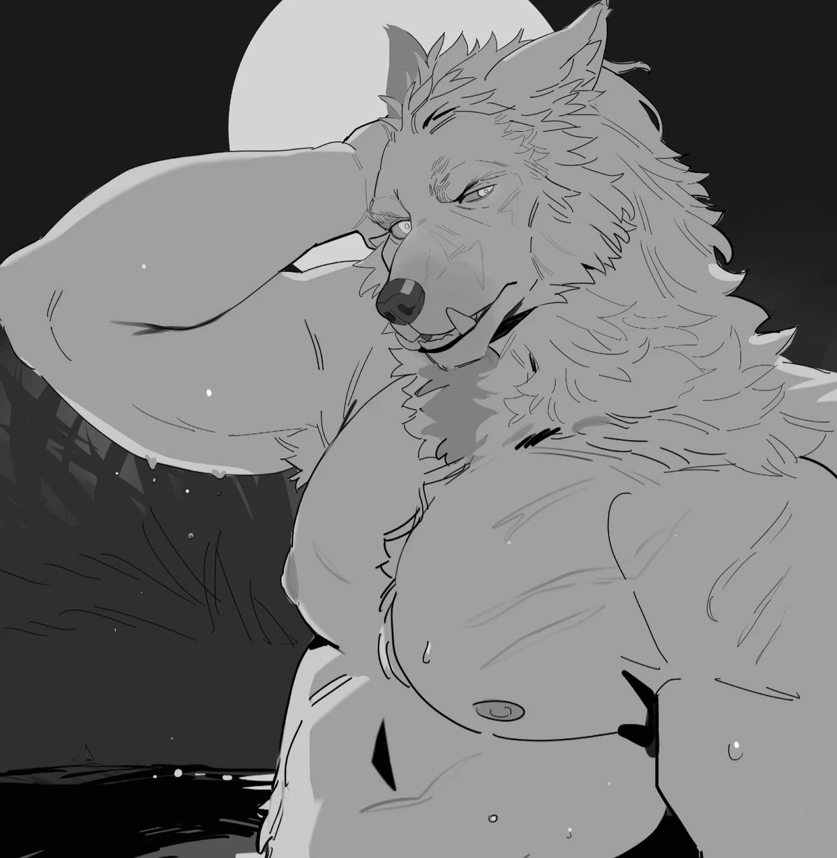 Blaidd- The Half-Wolf
