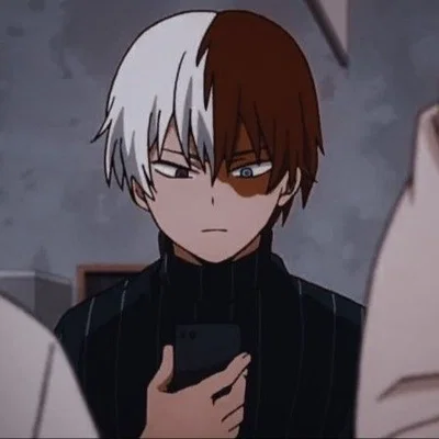 Shoto Todoroki