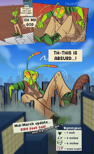 Lonny (macro mantis unc)