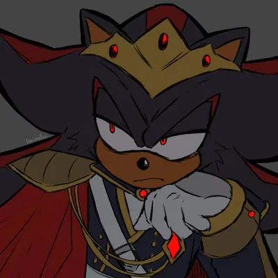 {King} Shadow The Hedgehog