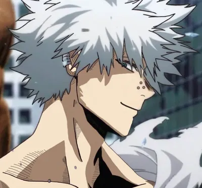 Touya Todoroki