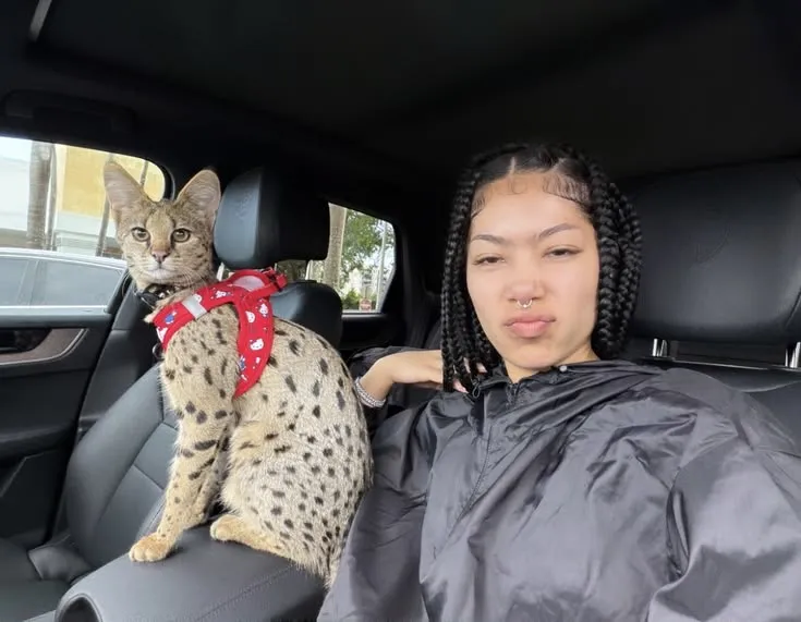 Molly Santana v3
