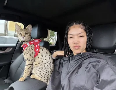 Molly Santana v3