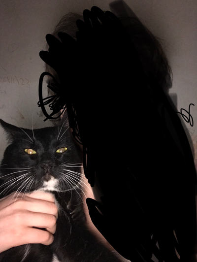 My cat hasn't come back. 