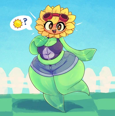 Solar Flare