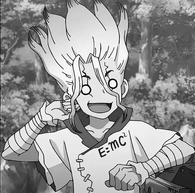 SENKU ISHIGAMI