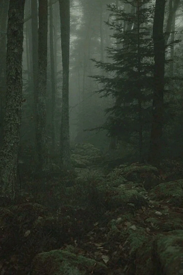 Family Traditions | The Hunt | UPDTED