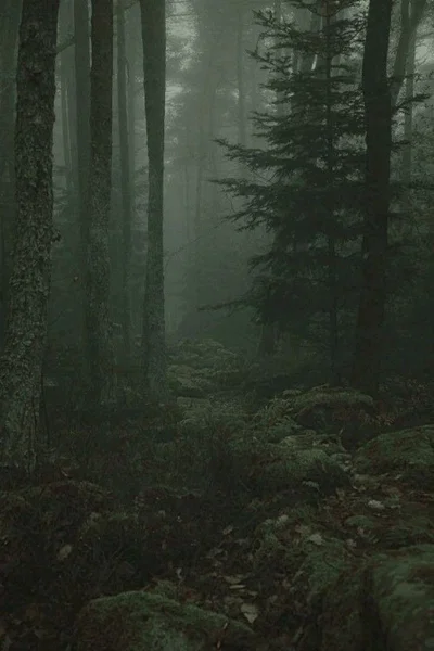 Family Traditions | The Hunt | UPDTED