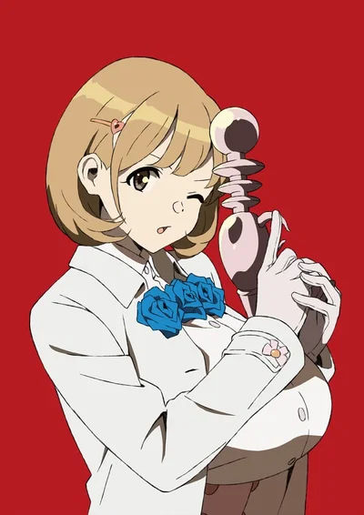 Narusawa Ryouka