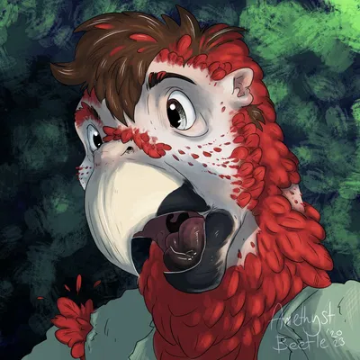 Bird Beak