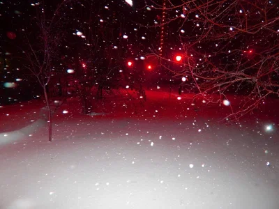Dave Strider | WINTER WONDERLAND