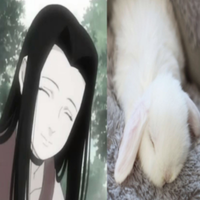 Haku Yuki