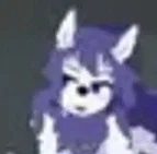 Stray wolf Berga