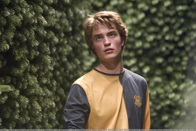 ⭐ Cedric Diggory ⭐