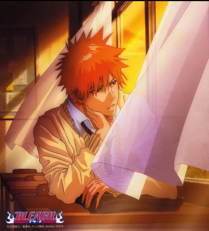 Ichigo Kurosaki | Bleach