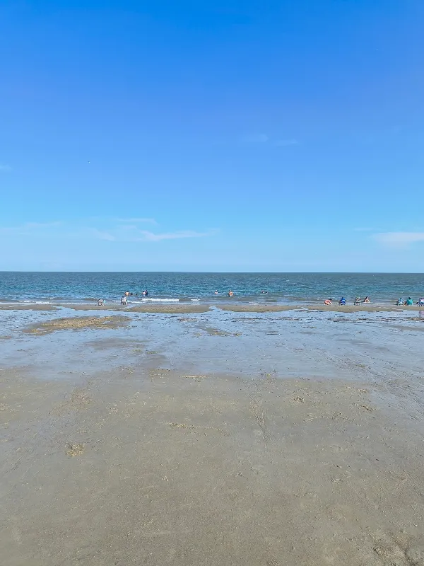 BEACH PARTYY ~ 150 Follower Special