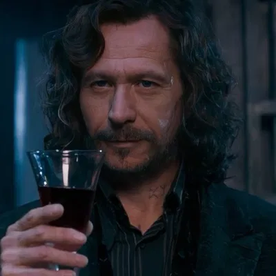 Sirius Black | Harry Potter