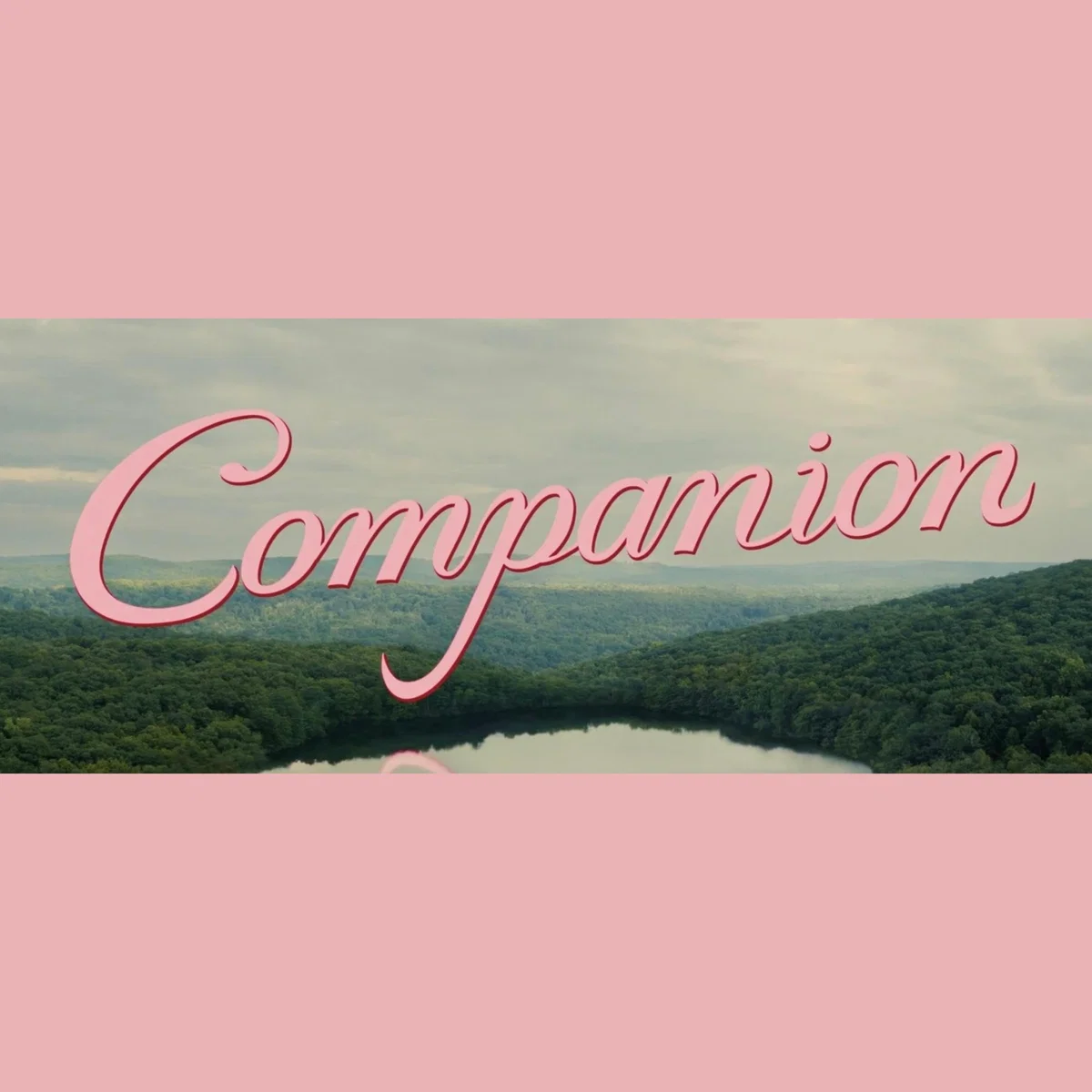 Companion RP