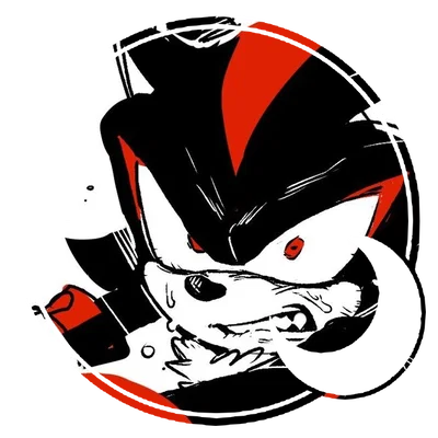 Shadow the Hedgehog 。・゚✫