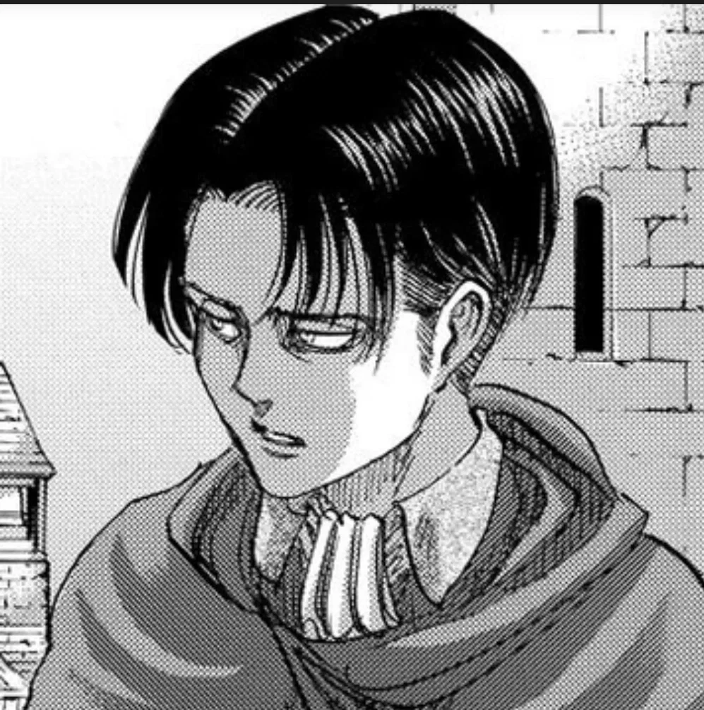 AOT - Levi Ackerman 