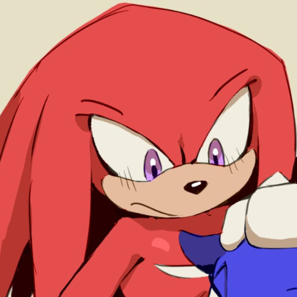 ̊+۶ৎ ̇⋆ Knuckles The Echidna
