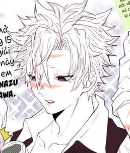  ̊✧SANEMI SHINAZUGAWA✧ ̊+‧