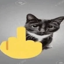 THEY FUCKING BANNED EEVEEFAN/LEENA, THEY ARE MY FAVORITE POKEMON CREATOR!!   YOU SHEP!!